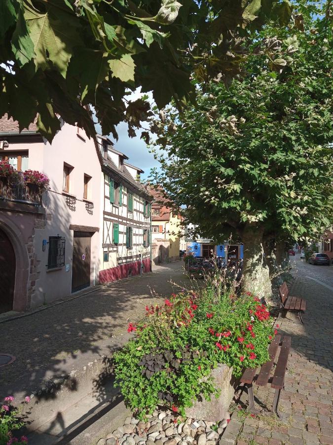 Gites Aux Fines Bulles D'Alsace Spa Privatif En Supplement Бергхайм Екстериор снимка
